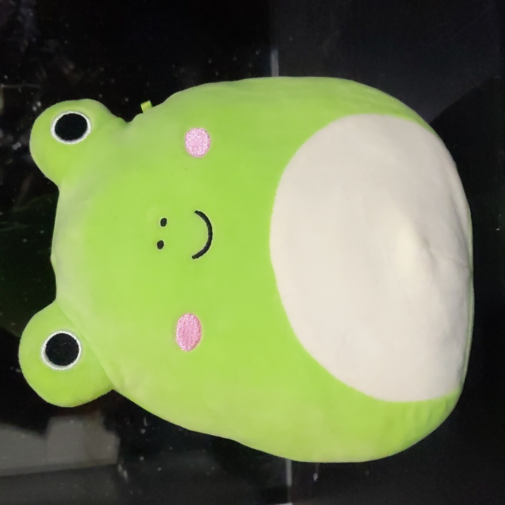 Wendy the squishmallow
